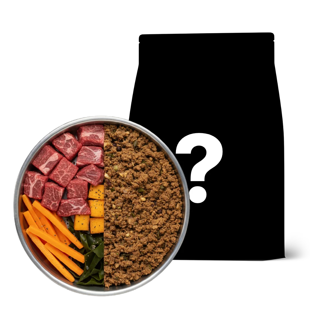 Forever Food versie 2