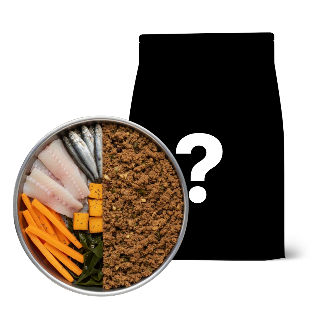 Forever Food versie 2